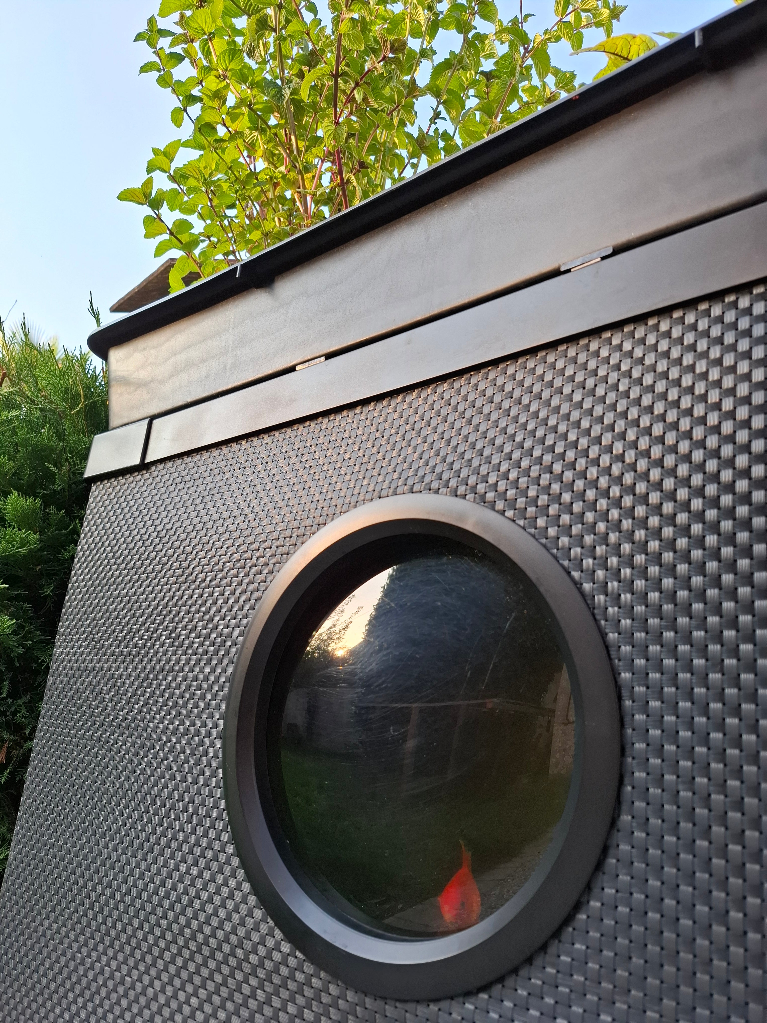 Intérieur du Kit Aquaponique extérieur Glaez avec poisson