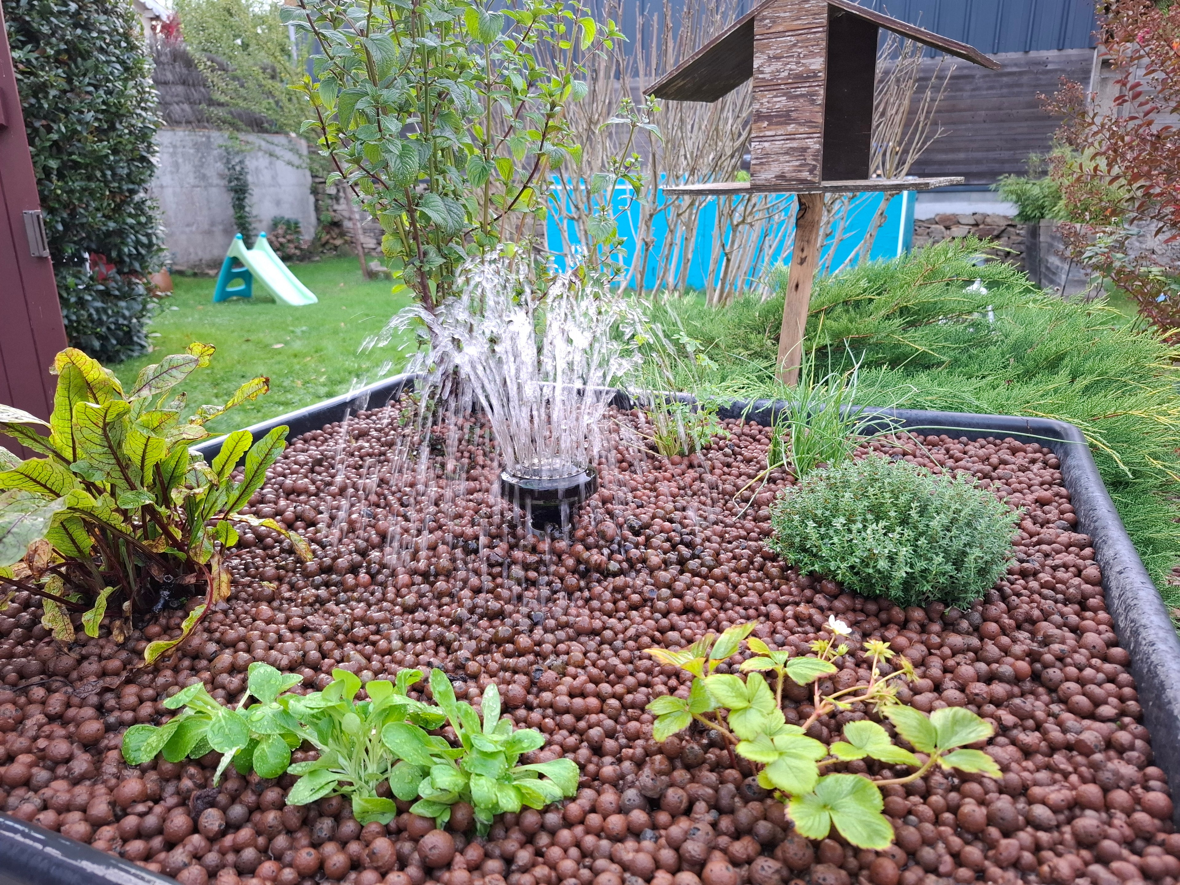 Extérieur du Kit Aquaponique extérieur Glaez avec plantes qui poussent