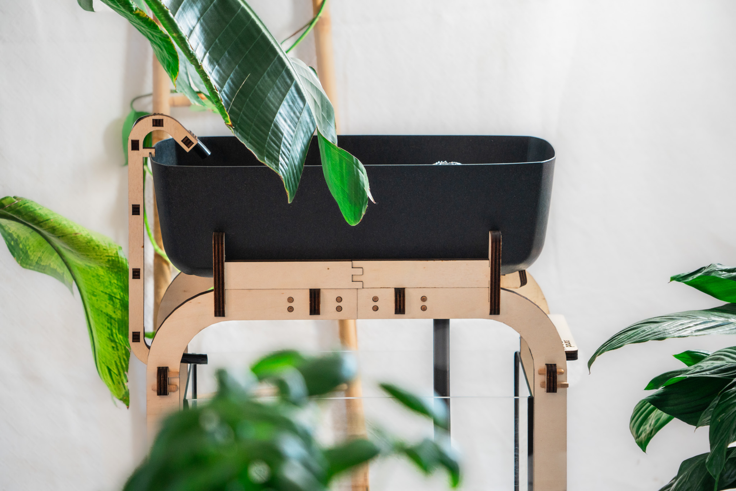 Bac du système aquaponique aquapouss