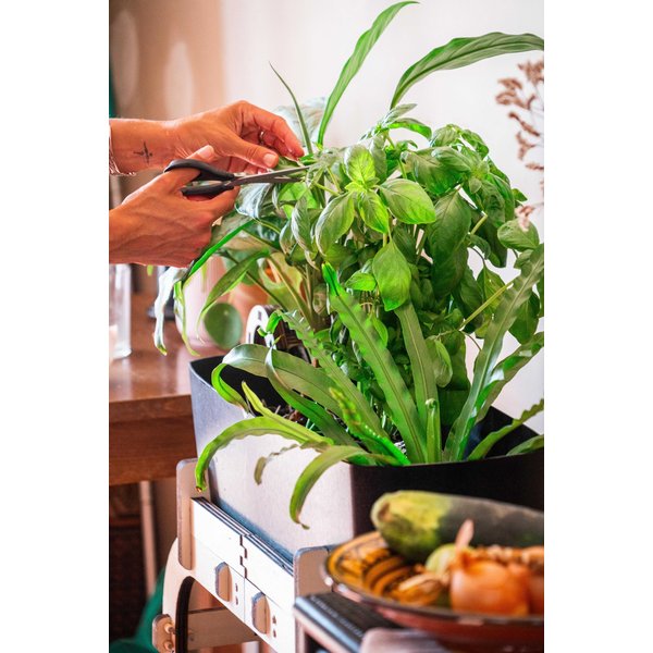 Aquapouss’Mini V2 – Starter Pack