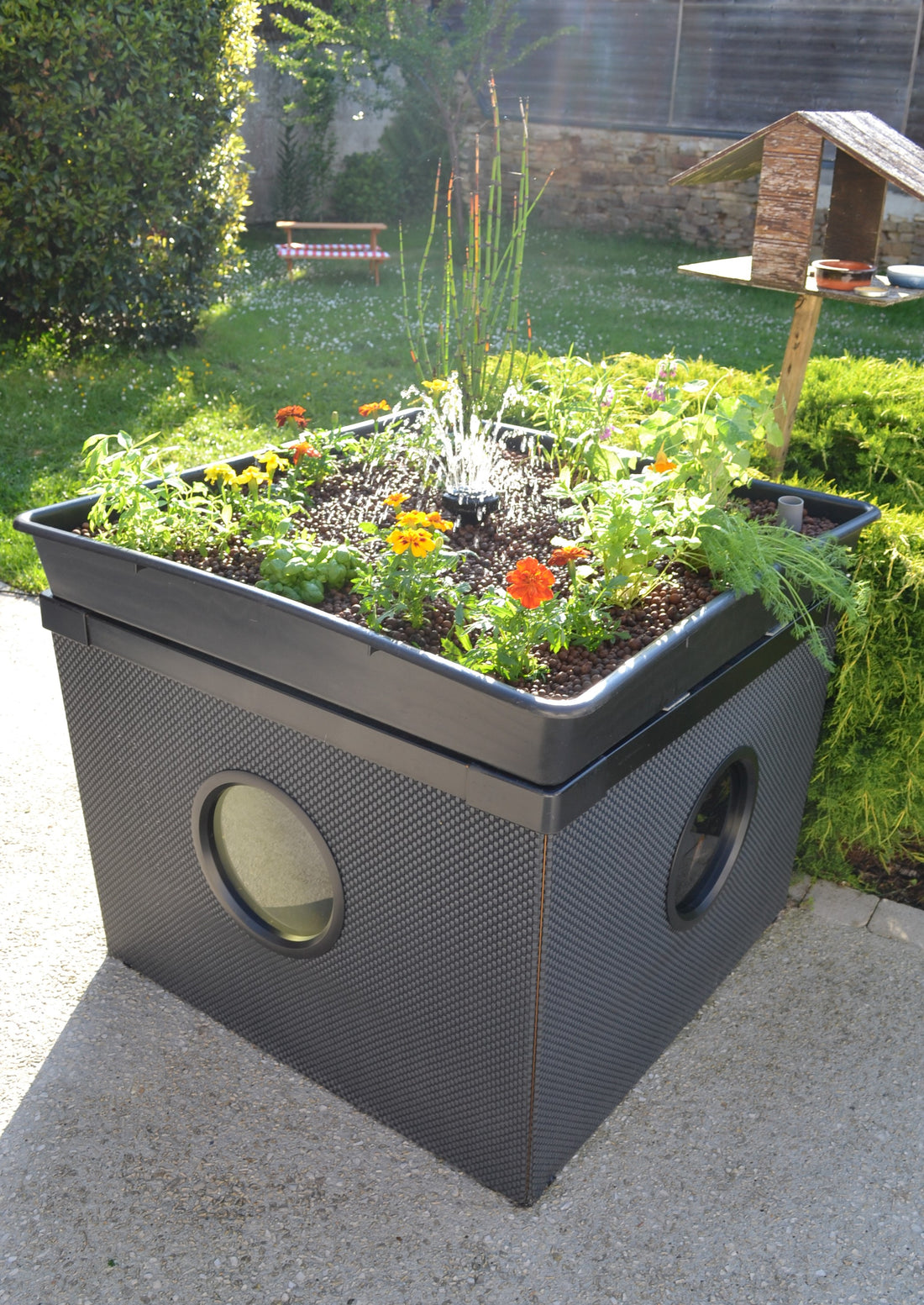 Kit Aquaponique Glaez de face