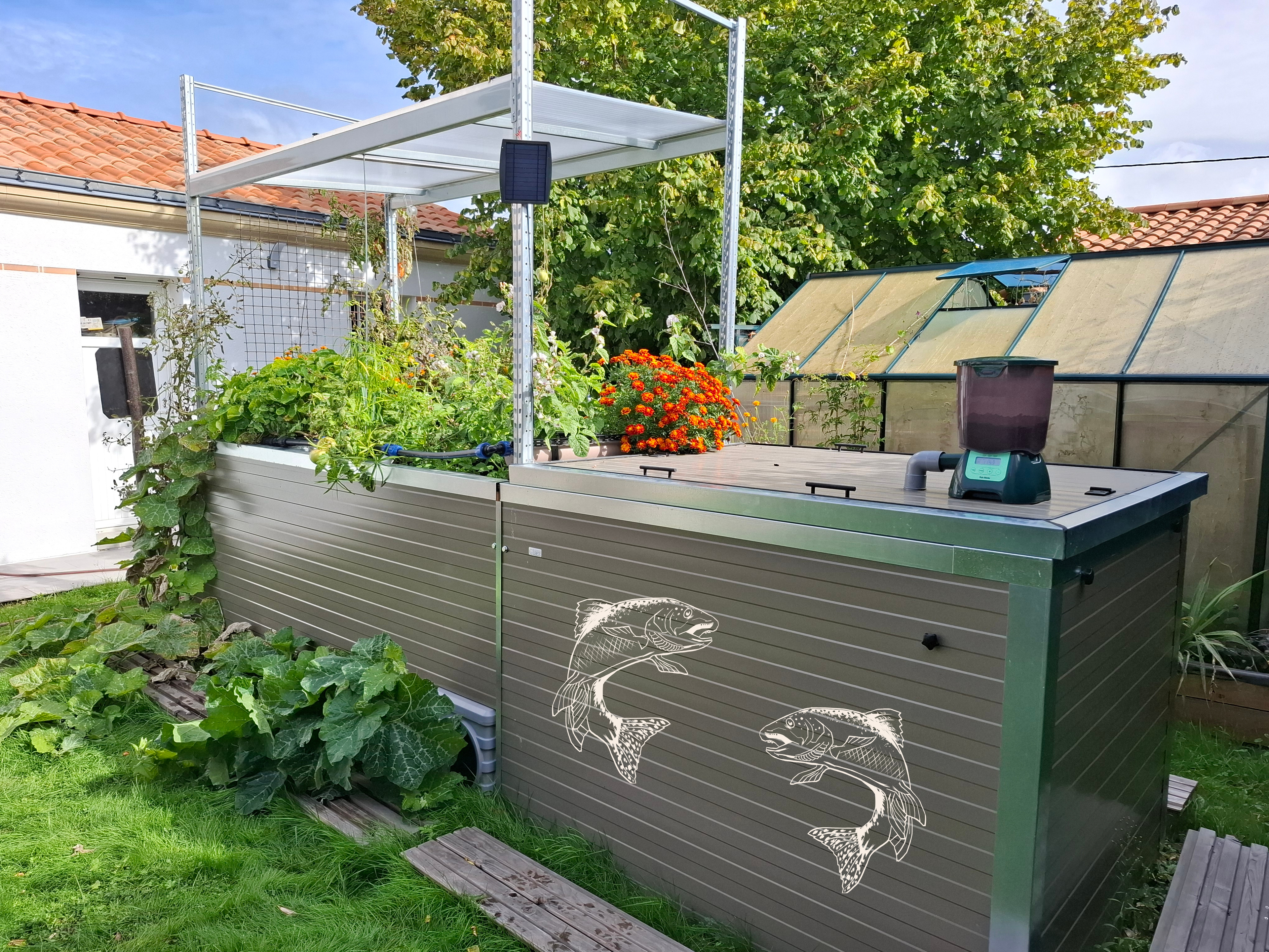 Système aquaponique SYMBIOSE©