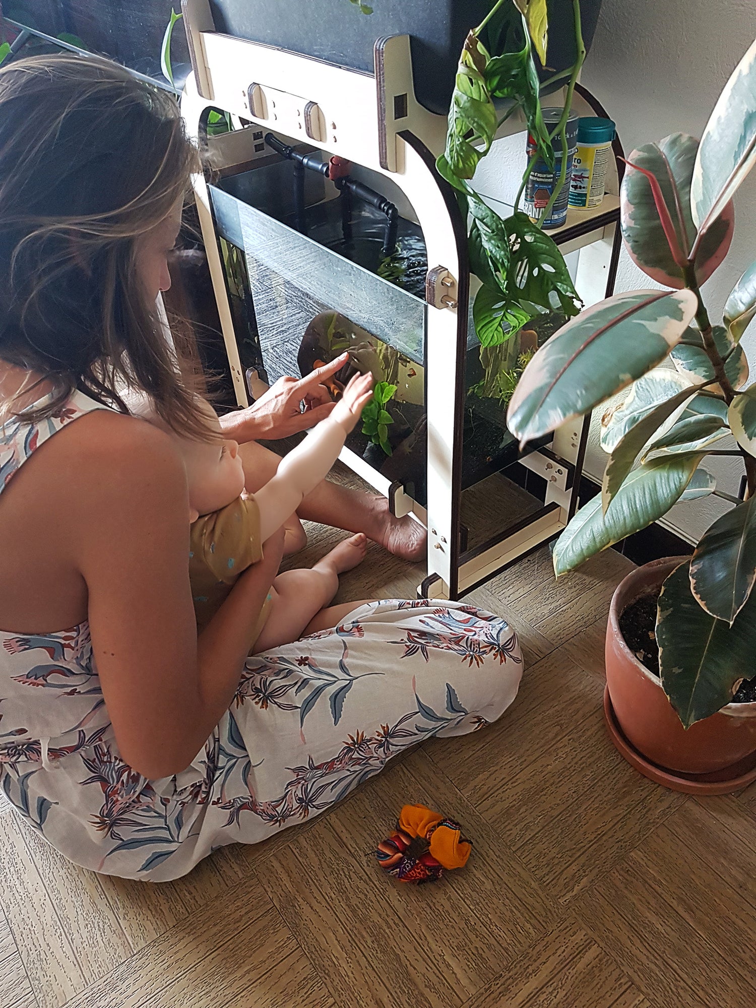 Découvrez notre Kit Aquaponique