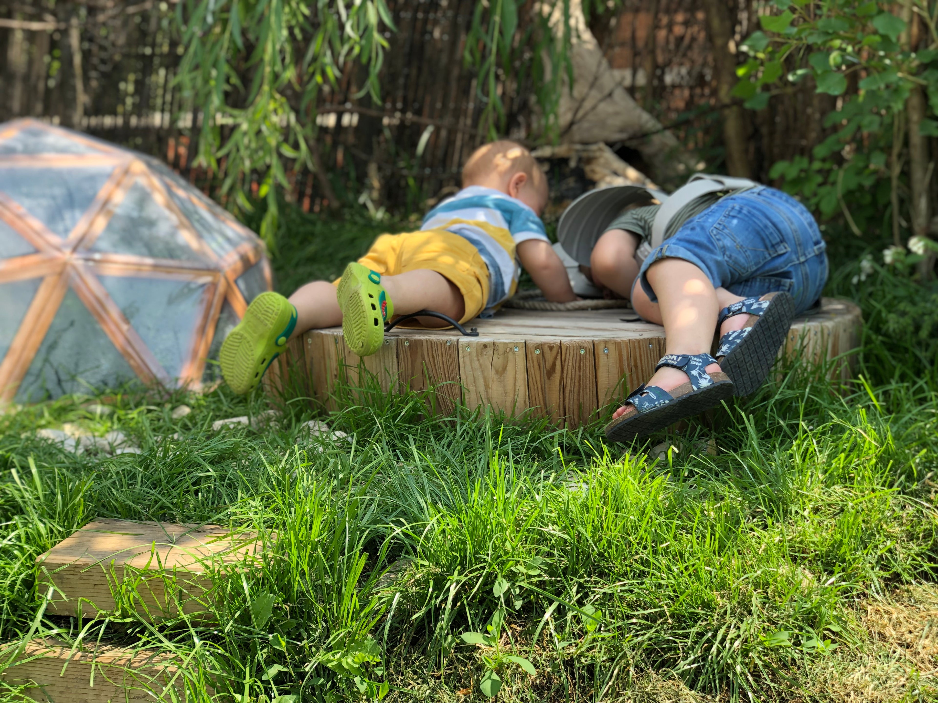 Kit Aquaponique Terre&