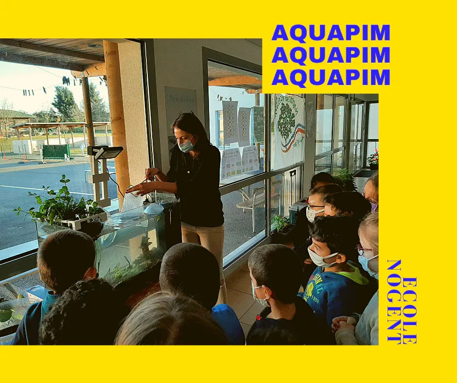 Animation pédagogique autour de l’aquaponie à l’école de Nogent