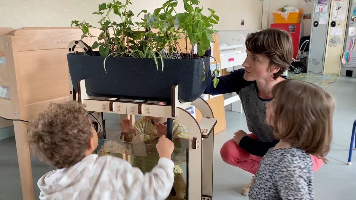 Aquaponie à l’école : financer un projet éducatif durable