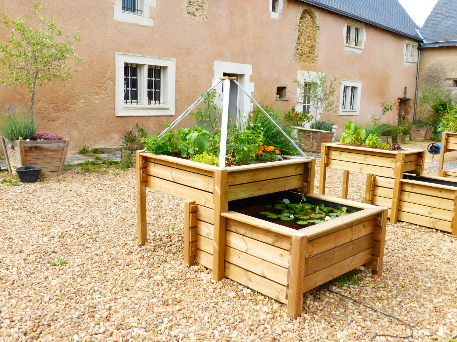 L'Aquaponie à l'École : le FIP pour financer vos projets éducatifs durables 🌱