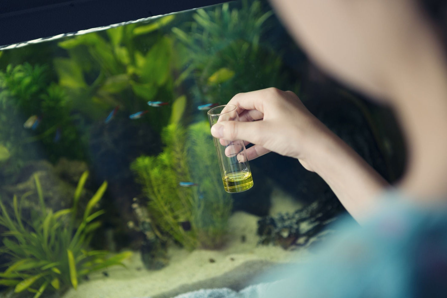Paramètres de l’eau en aquaponie : guide complet
