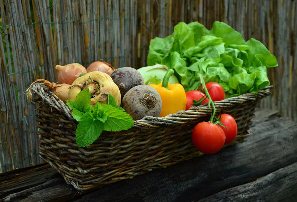 quaponie et nutrition : une alimentation saine et durable