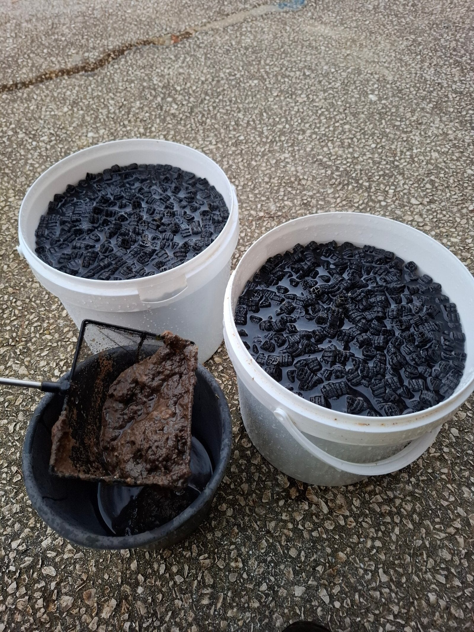 Média de filtration avec bactéries