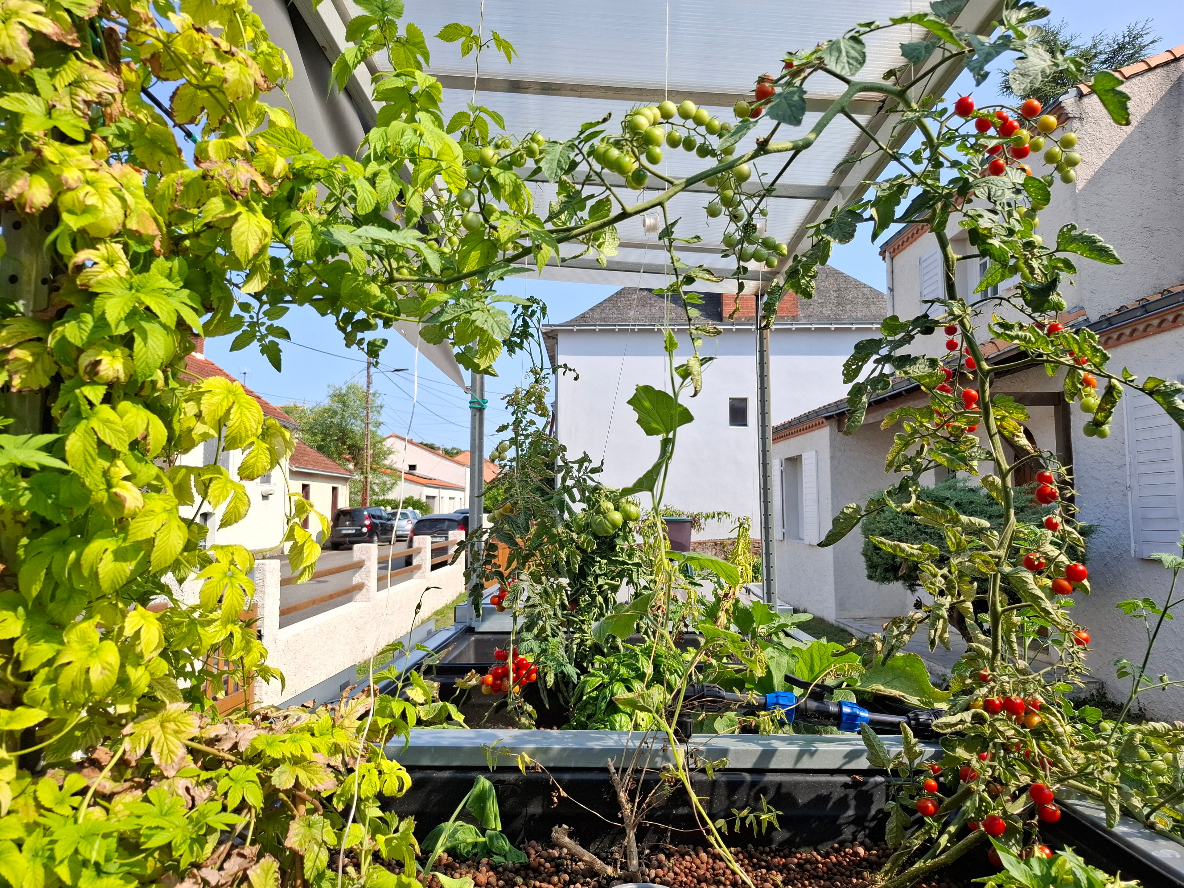 Système aquaponique SYMBIOSE©