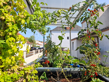 Système aquaponique SYMBIOSE©