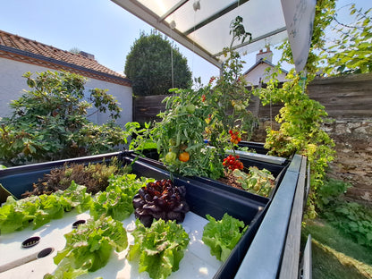 Système aquaponique SYMBIOSE©