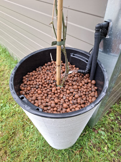 BUCKET+