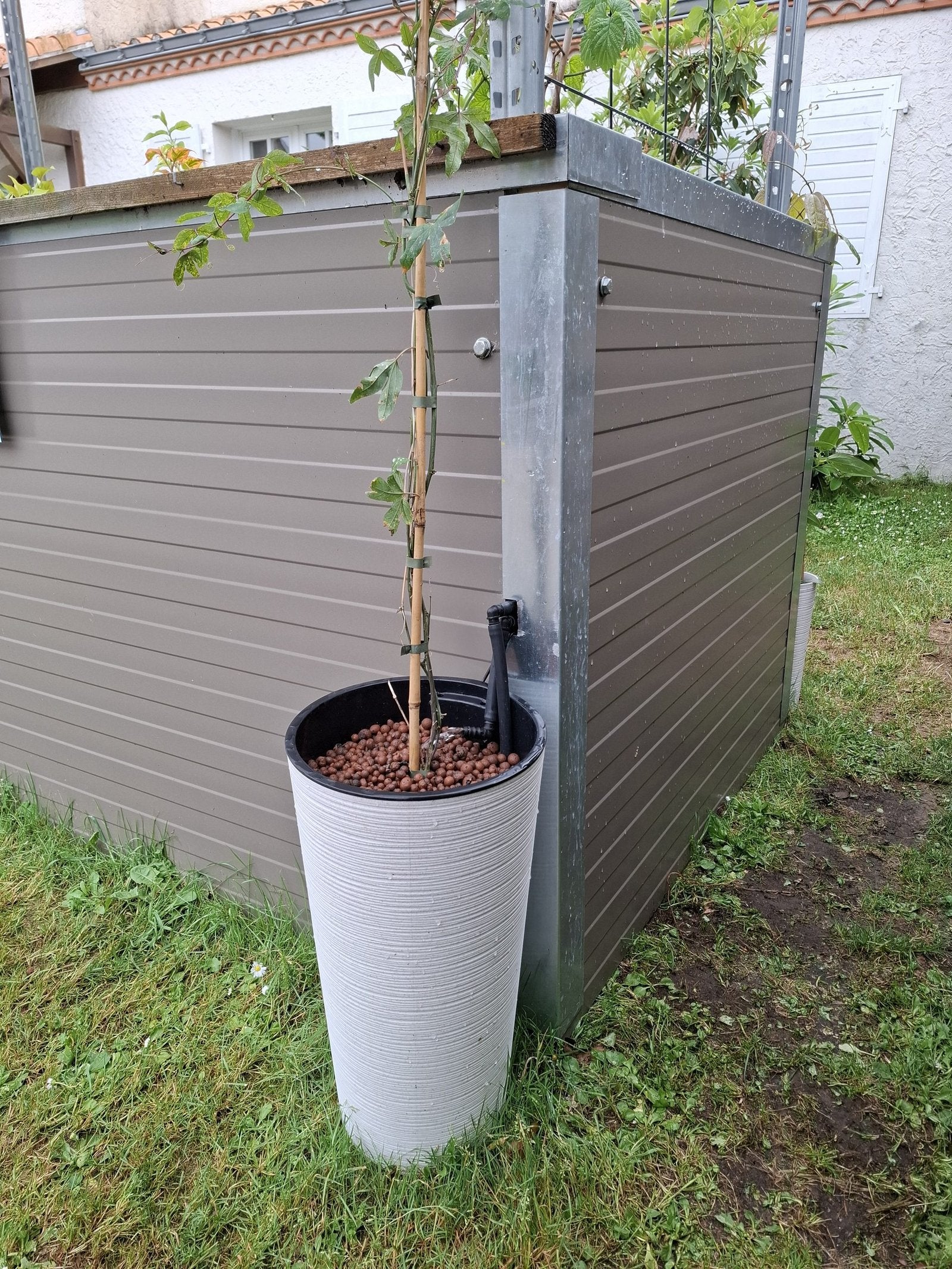 BUCKET+