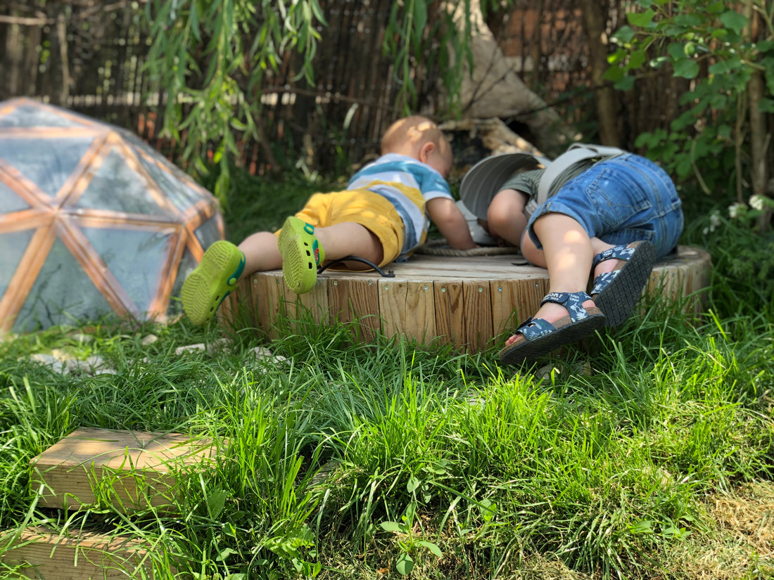 Kit Aquaponique Terre&