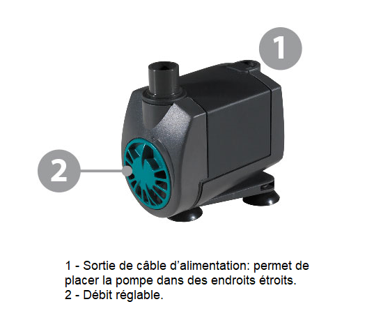 Pompe d&